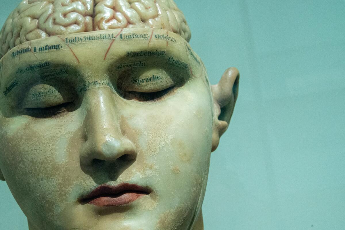 Brain cut out
